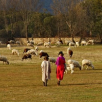 Belen Moreu Suarez de Puga