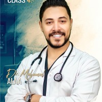 Mohamed Alaa Mahmoud