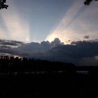 Thuin Joy