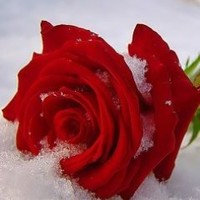 Gagandeep Singh