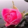 JOTHILINGAM .N