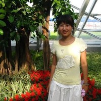 wang yu