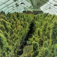 CLEAN GREEN CERTIFIED