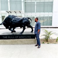 Chibuzor Onwuameze ACA CTA MSc.