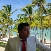 Ariel David Vallejos Torrico