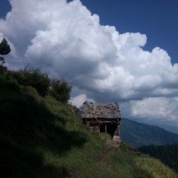 Shivom Thakur