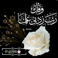Alshimaa Ehab