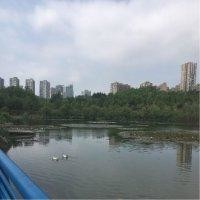 刘星延