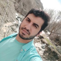 mohsen zarei