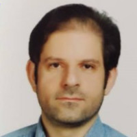 Amin Attarzadeh