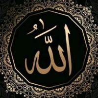 Syed Rafay Uddin