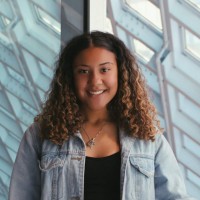 Ari Wilcox, Msw