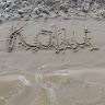 Nathan Kohu