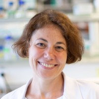 Sandra Markovic-Mueller