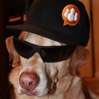 Duke Trewartha