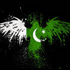 Dawood Siddique