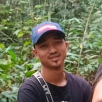 Fikri Fik