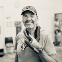 Mick Wilson