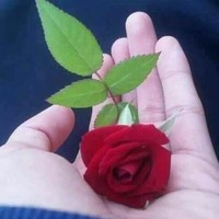 Muhammad Siddique