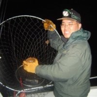 Brian Fujimoto