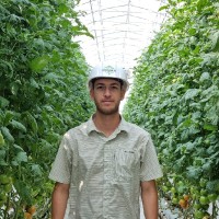 Jaime Castro Villaverde