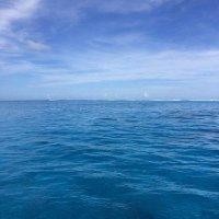 蔡双鑫