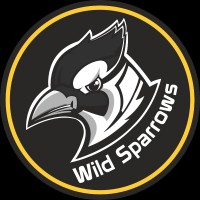 Wild Sparrows