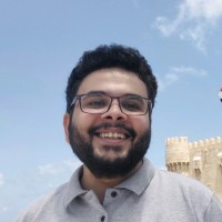 Mahmoud M. Abdullah