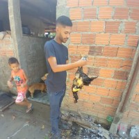 Maicon Rocha
