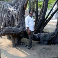 Rajeev Bonu