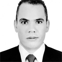 Walied Mahmoud, Dip Ifrs