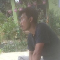Msbetas Review
