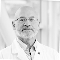 David A. Bellnier, Ph.D.