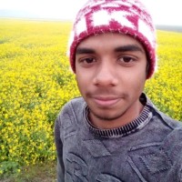Md Kawsar Ali