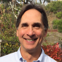 Dan Segedin