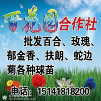赵德民