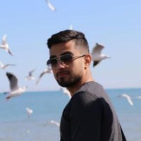 mohamad nikzad