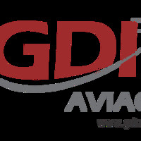 Daniel Figueiredo Freitas