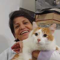 Sandra Brunelli