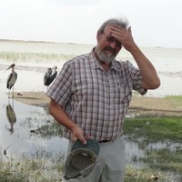 Tim Hall