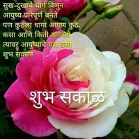 Rajesh Pardeshi