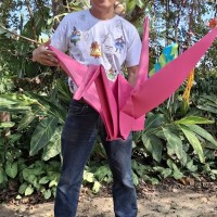 Marcio Okabe 💡🎨🌈 ☀️