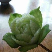 张焱杰