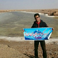 Mostafa D