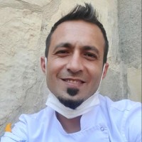 Ilhan Bozdogan