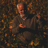 Damiano D'Alba