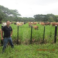 Wilhelm Jose Castro