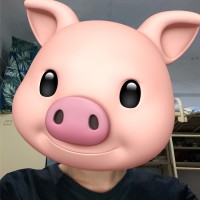 林志颖