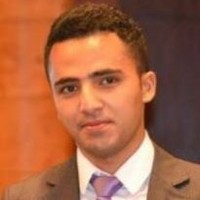 Ibrahim Hassan Abu Elnaga