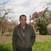 Abdelmonem Salah